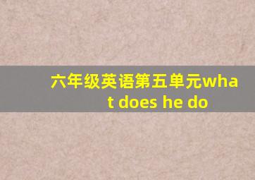 六年级英语第五单元what does he do